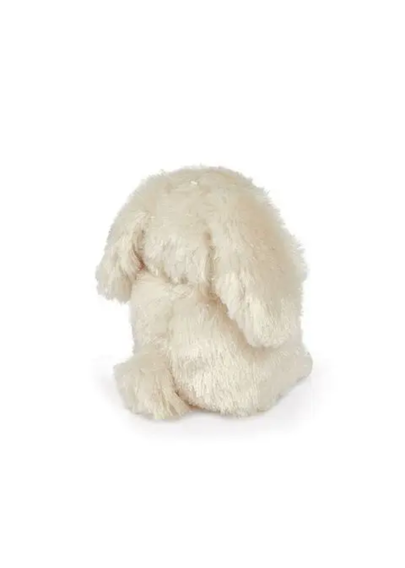 Wee Rutabaga Bunny