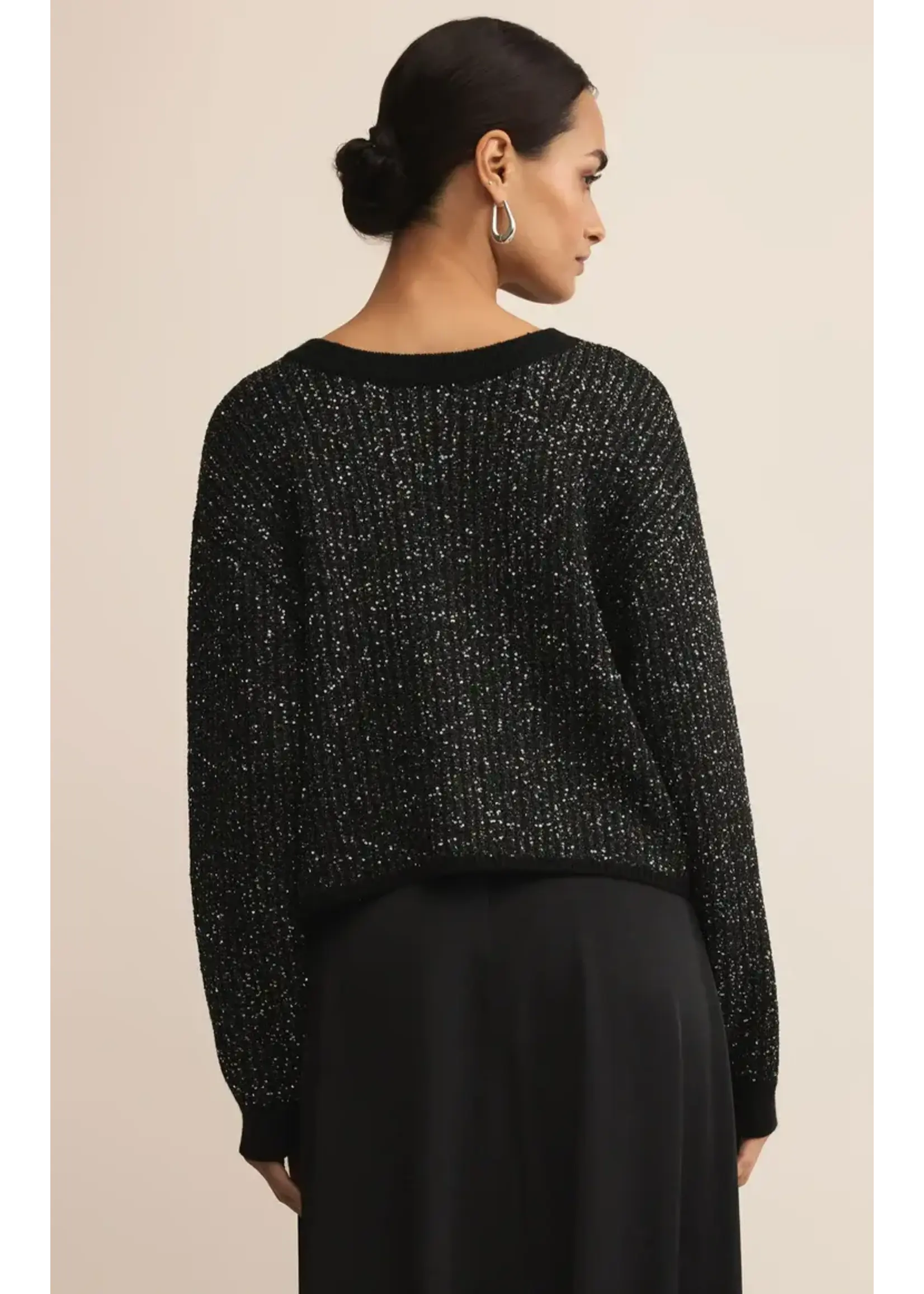 Z Supply Gleam Sequin Sweater