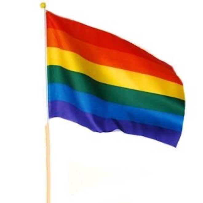 RAINBOW PRIDE FLAG - HANDHELD 12”X18”