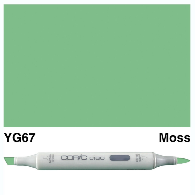 Copic Ciao YG67 Moss