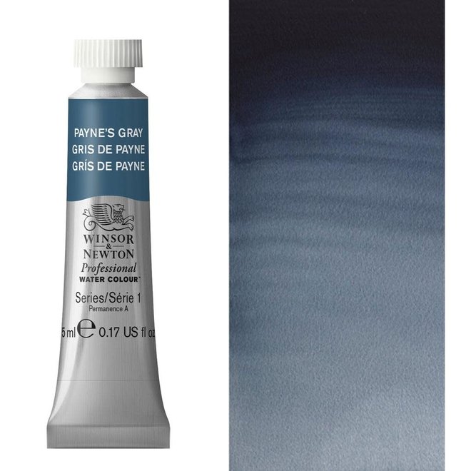 Winsor & Newton Professional Watercolour 5ml Payne's Gray