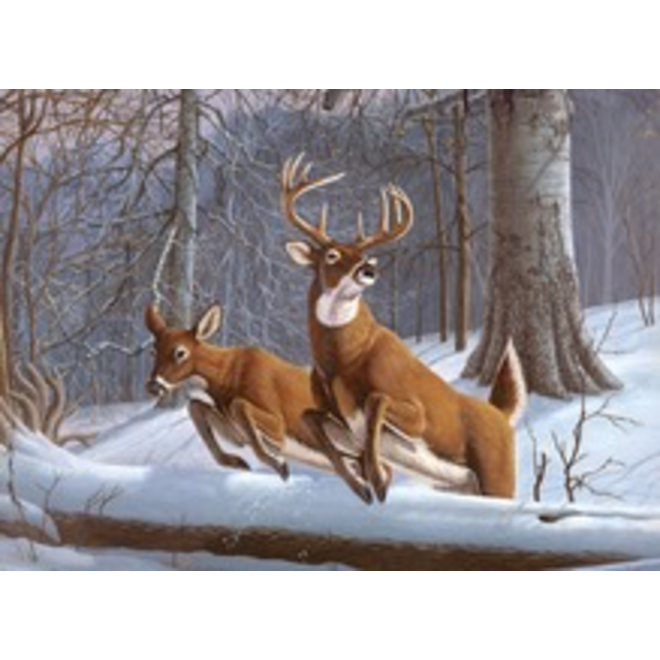 ROYAL & LANGNICKEL PAINT BY NUMBER WHITE TAIL DEER
