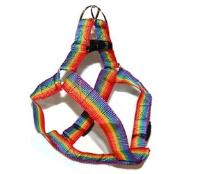Gay Pride Pet Harness