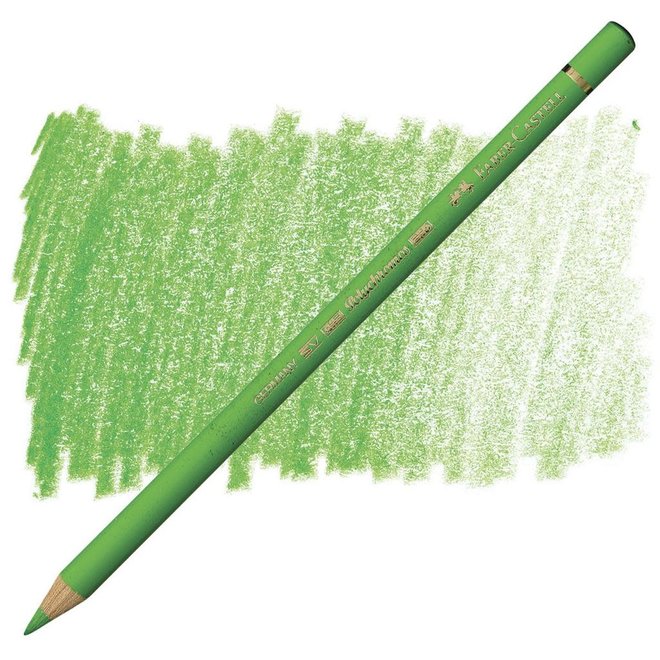 Faber Castell Polychromos Coloured Pencil 166 Grass Green