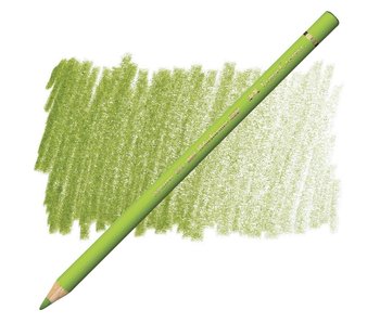 Faber Castell Polychromos Coloured Pencil 170 May Green