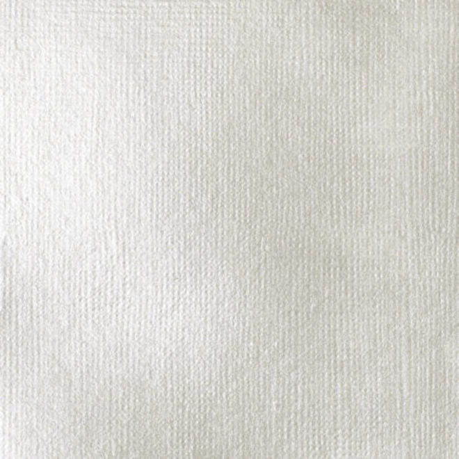 Liquitex Soft Body Acrylic  59ML Iridescent White
