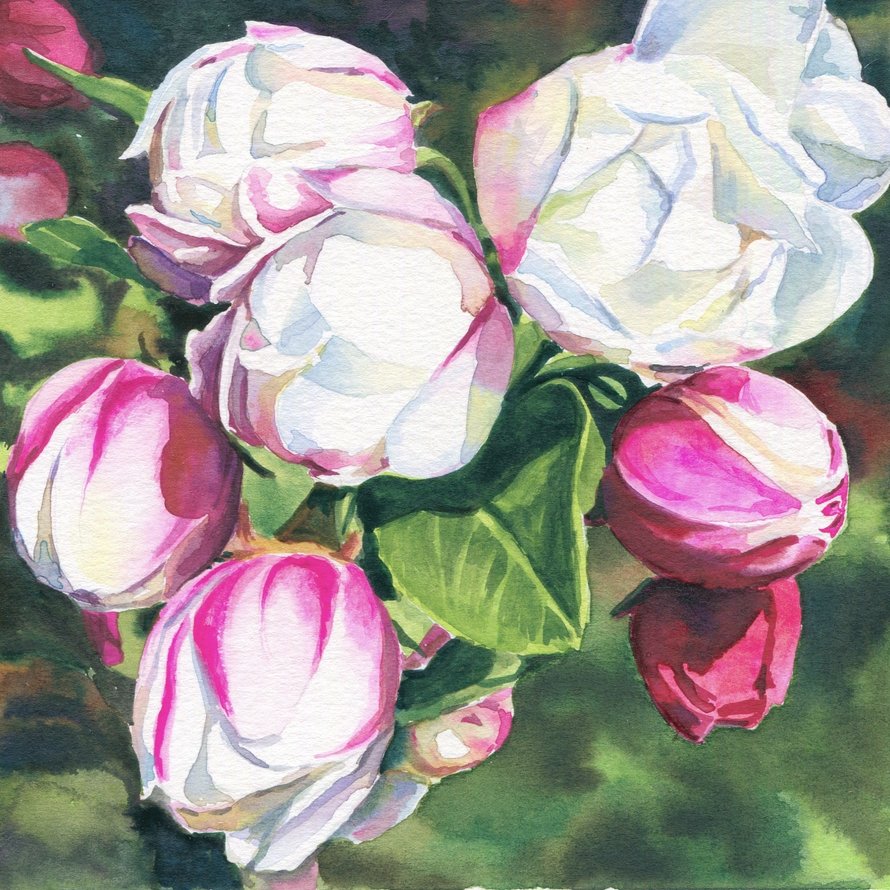 How to Paint & How to Draw Art Books 