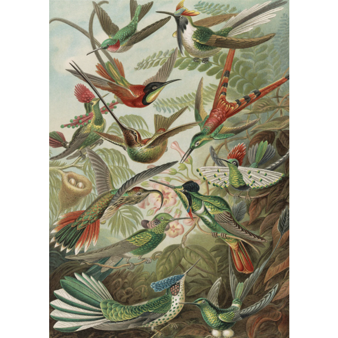 Piatnik 1000Pc Puzzle: Vienna Bild