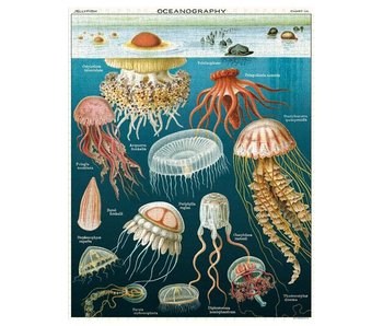 Puzzle 1000Pc Jellyfish