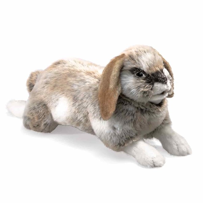 Folkmanis Puppet - Holland Lop Rabbit
