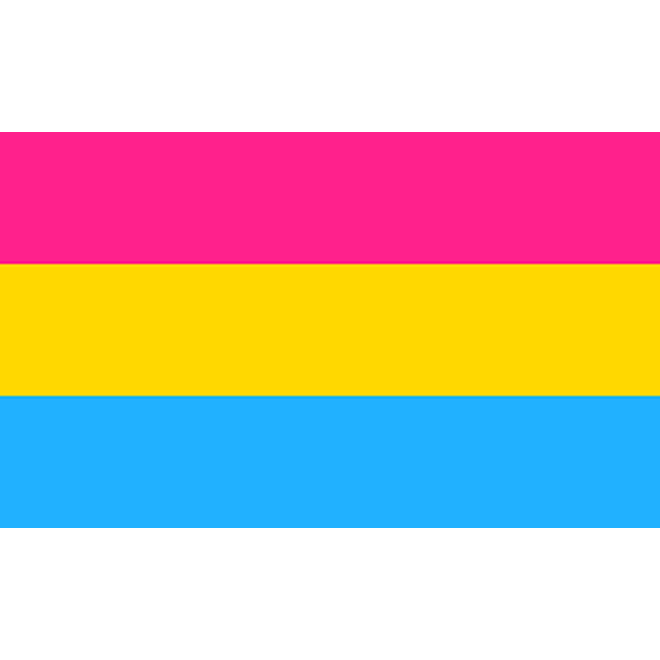 Pansexual Pride Flag - 3'x5'