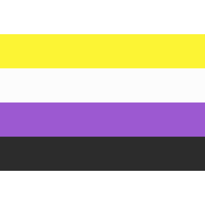 Non-Binary Pride Flag - 3'x5'