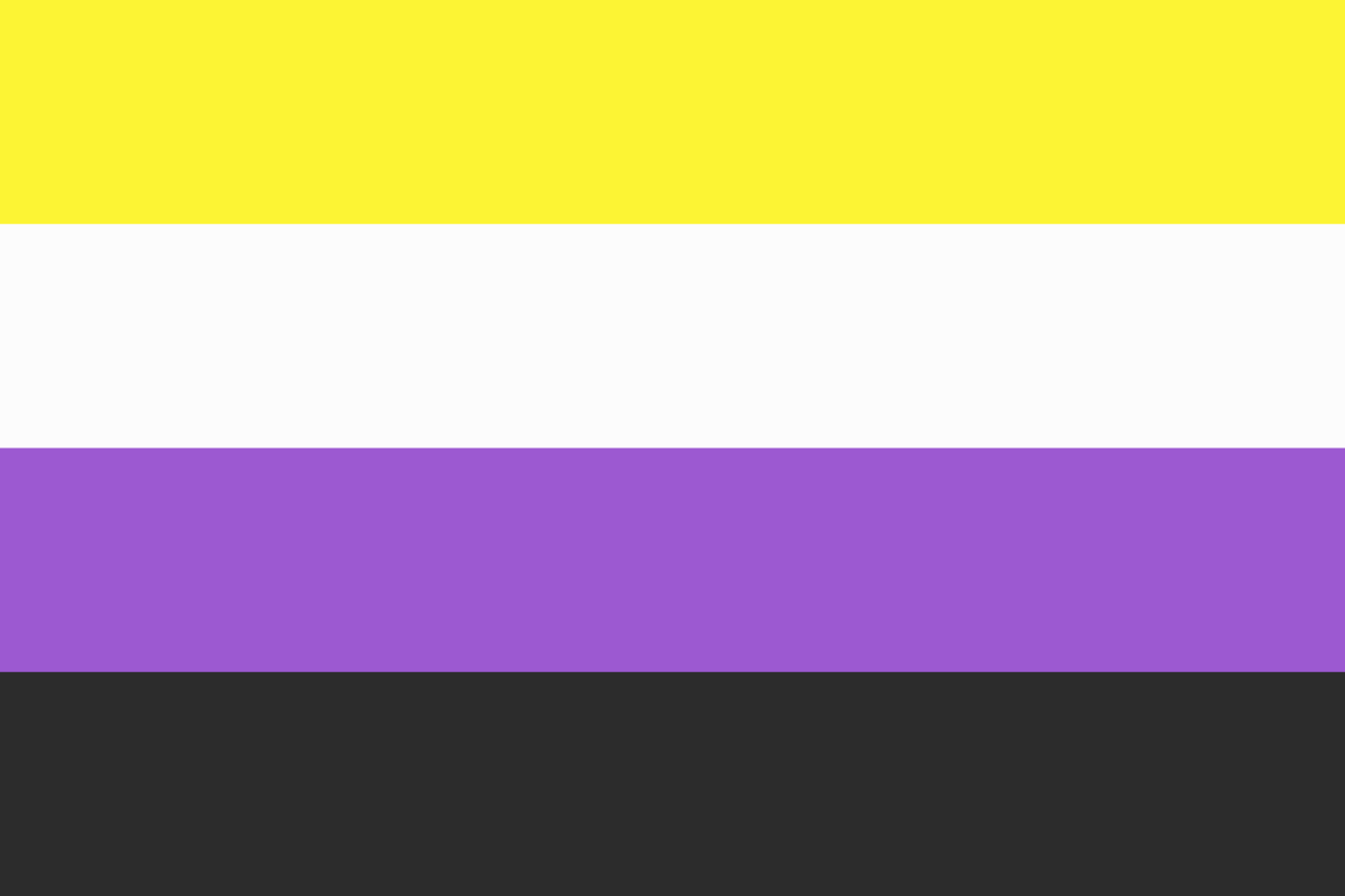 Non-Binary Pride Flag - 3'X5' - Endeavours ThinkPlay