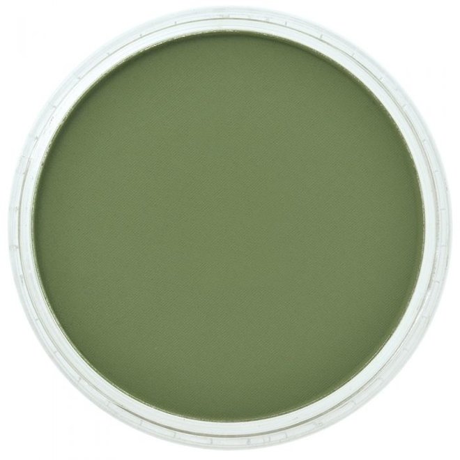 Panpastel 9Ml Chromium Oxide Green Shade