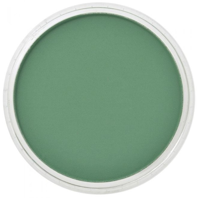 PanPastel 9ml Permanent Green Shade