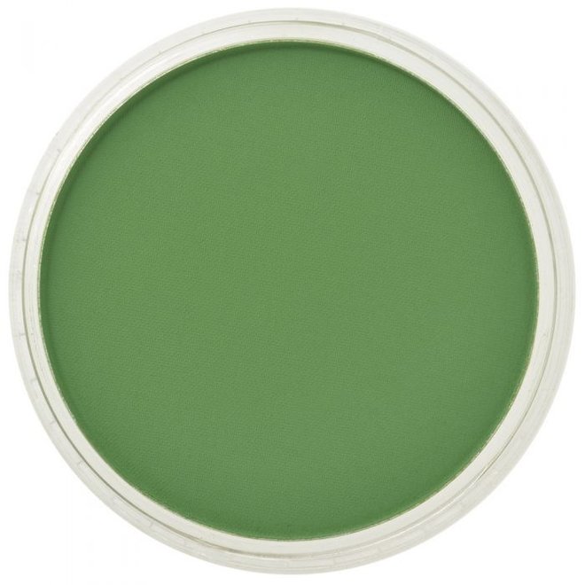 PanPastel 9ml Chromium Oxide Green