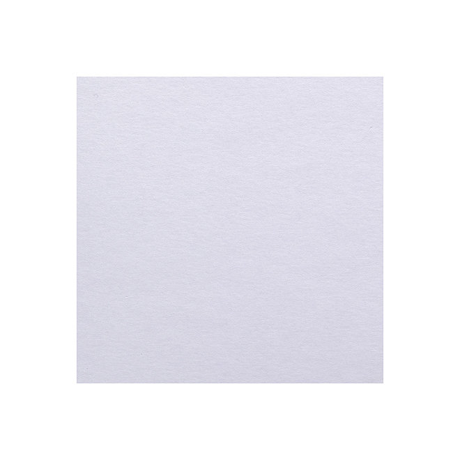 Canson  Bristol Plate White Art Board - 16X20" - 1.2Mm 2-Ply - 5 Sheets