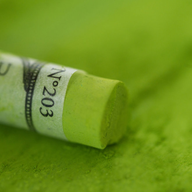 Sennelier Extra Fine Soft Pastel 203 Leaf Green 5