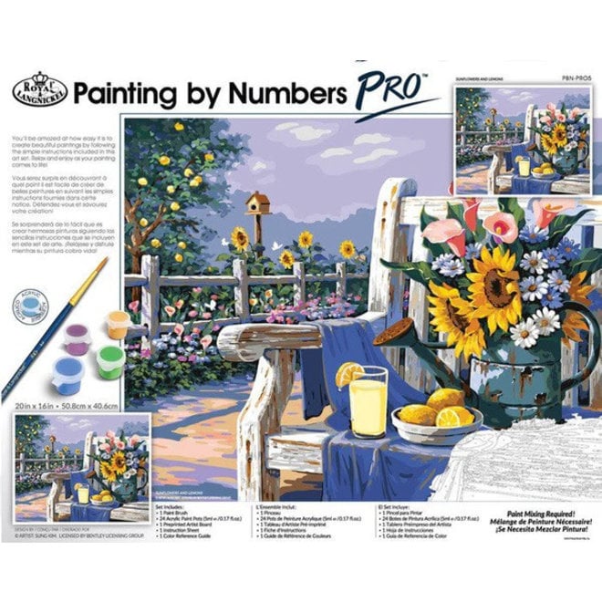 Pro Paint By Numbers: Sunflowers & Lemons