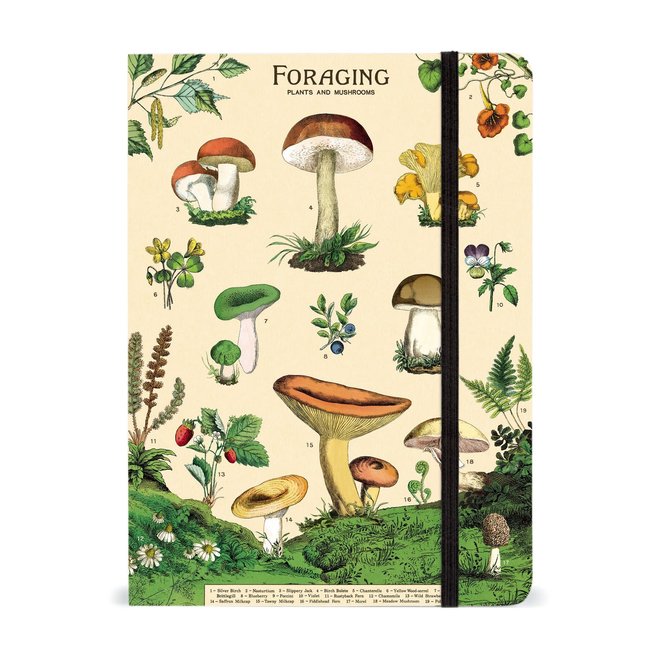 Cavallini & Co Notebook Large - Foraging