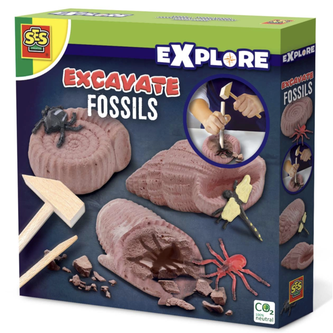 SES Creative - Excavate Fossils