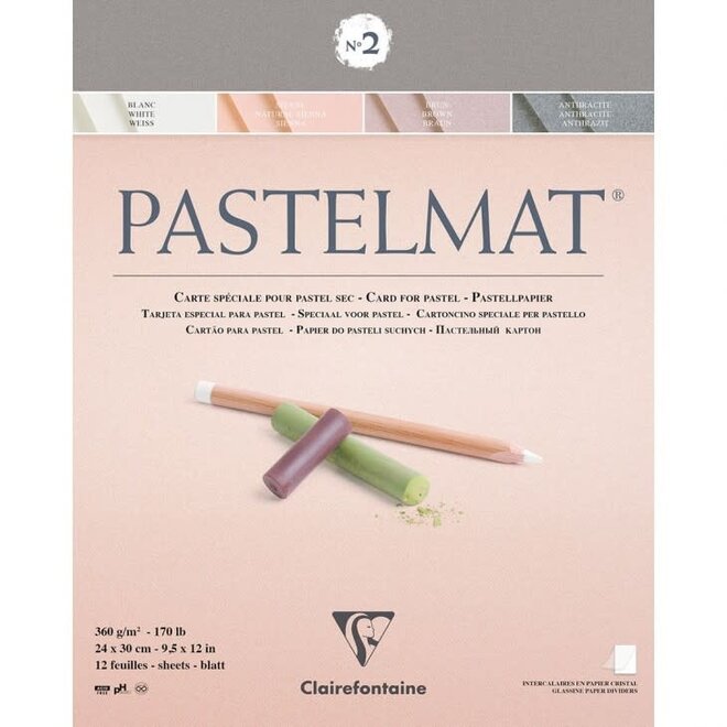 CLAIREFONTAINE PASTELMAT 4 SHADES WHITE, 9.5x12.5"  NATURAL SIENNA, BROWN, ANTHRACITE