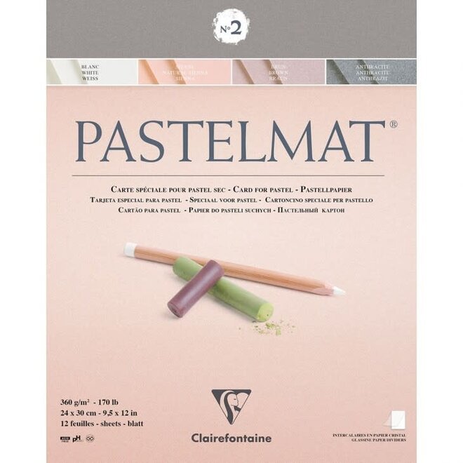 Pastelmat Pastel Card - 170lb, 9.5x12", 12 Sheets - #2: White, Natural Sienna, Brown, & Anthracite