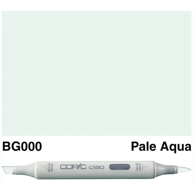 Copic Sketch Bg000 Snow Green