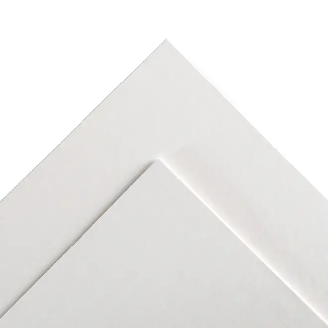 Canson Illustration / Comic Art Board - White 16x20" - 5 Sheets
