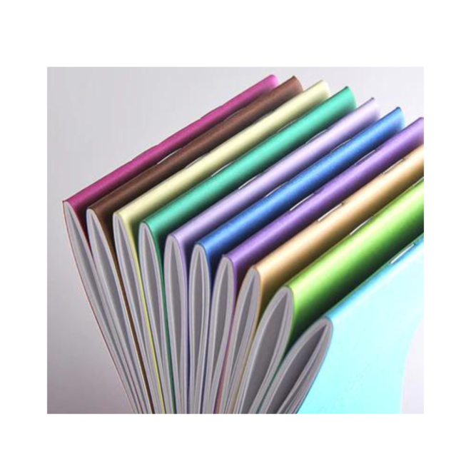 Clairefontaine Crok'Book Sketchbook - 90g 17x11cm 24 Sheets (Ships in a random colour)