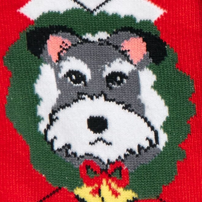 Sock It To Me - Youth Crew - Deck The Paws