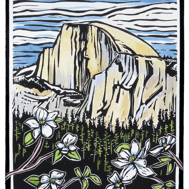 Molly Hashimoto: Wildflowers Boxed Notecard Assortment