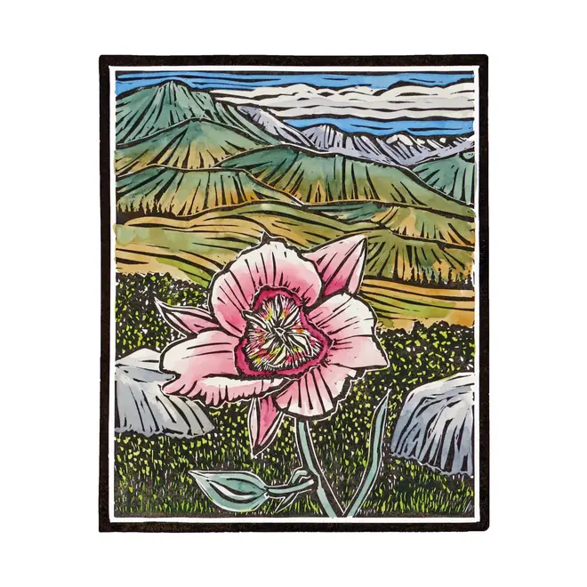 Molly Hashimoto: Wildflowers Boxed Notecard Assortment