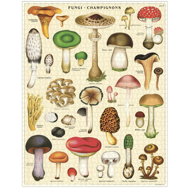Cavallini & Co 1000 Piece Puzzle Vintage Mushrooms