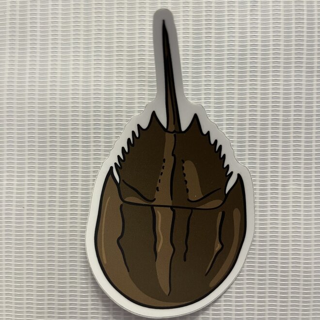 Horseshoe Crab Sketch | Large Printed Vinyl Sticker
