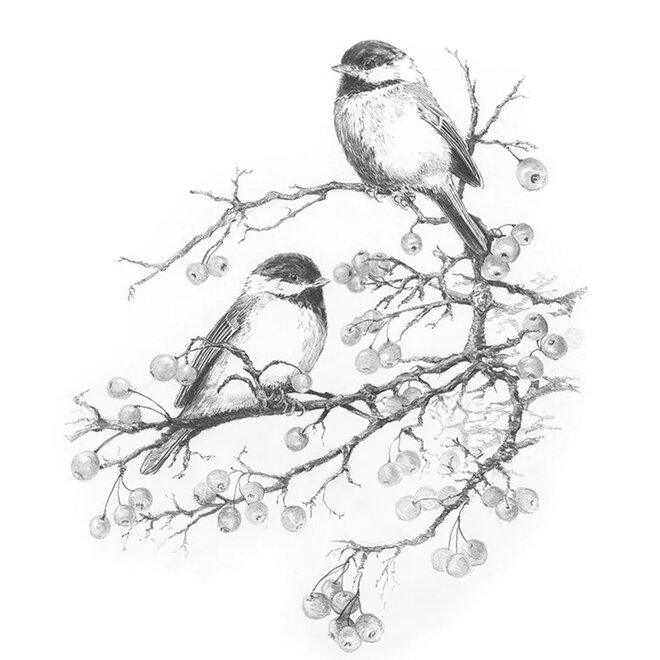 Sketching Made Easy: Chickadees With Winter Berries