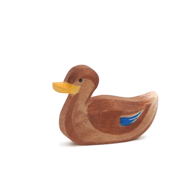 Ostheimer Duck Swimming