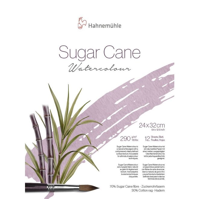 Hahnemuhle Sugar Cane Watercolour Pad - 9.4x12.6 inch 12sheets