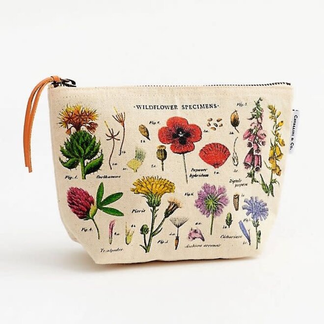 Cavallini & Co Cotton Pouch - Wildflower Specimens