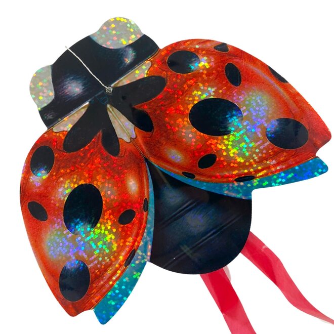 Real Flying Insect Mini-Kite - Ladybird / Ladybug
