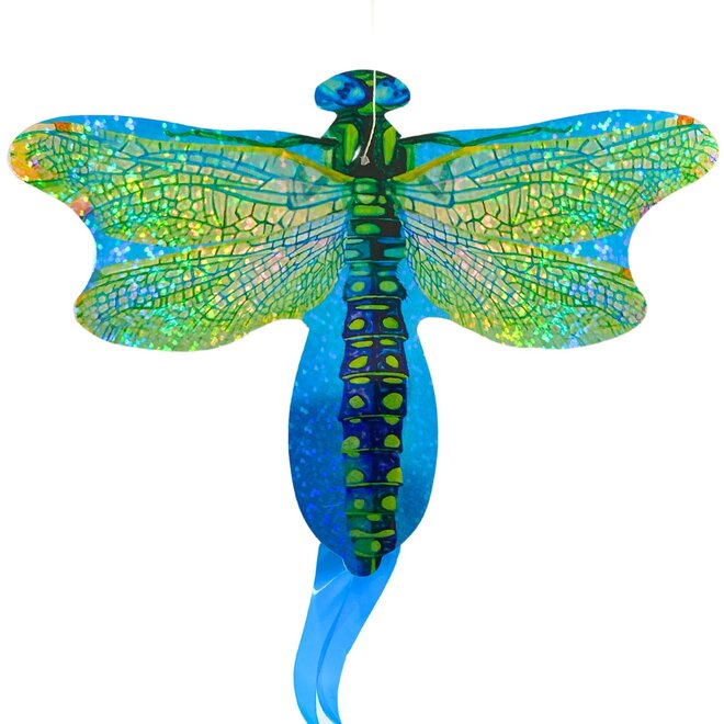 Real Flying Insect Mini-Kite - Dragonfly