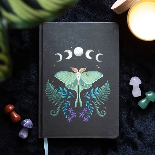 Magical Journal: Luna Moth