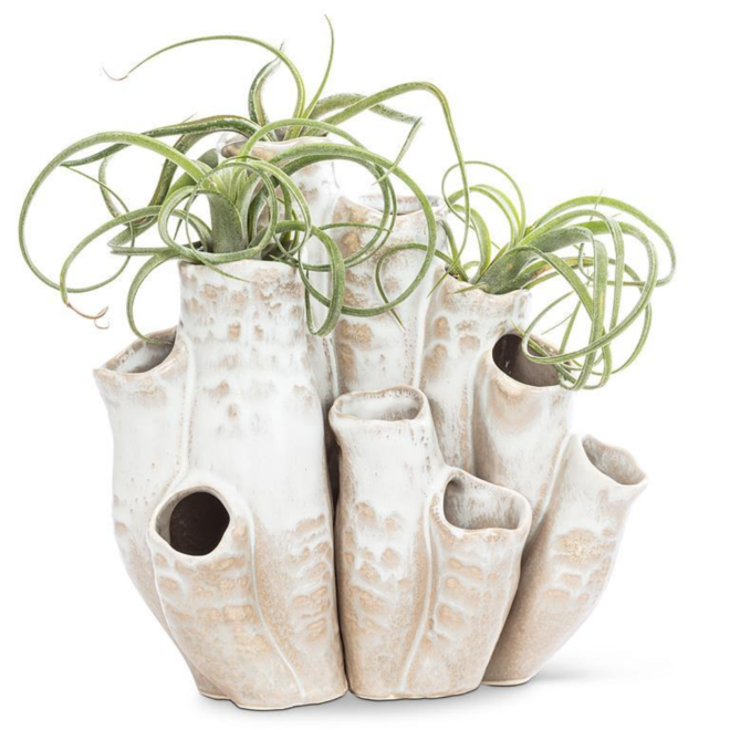 Lg Organic Vase w/10 Pods-8"H