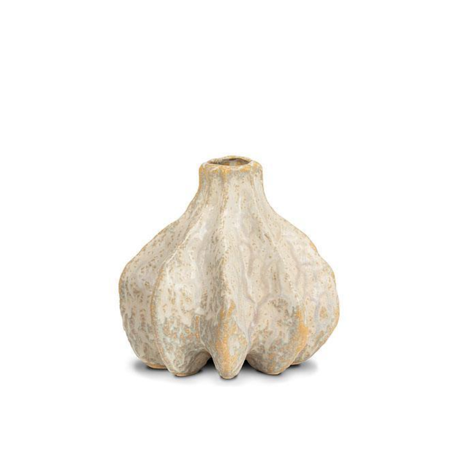 Large Spiny Bulb Vase - Antique White 6"
