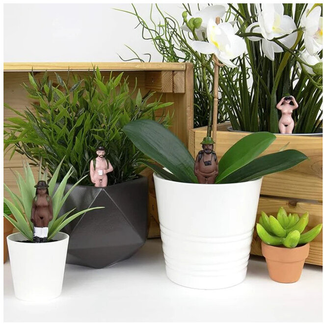 Naked Ramblers Planter Companion