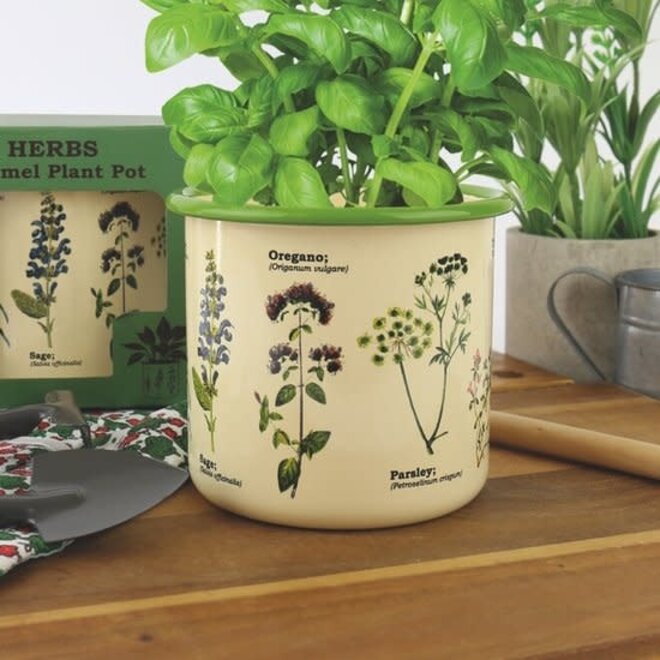 Ecologie Enamel Plant Pot - Herbs