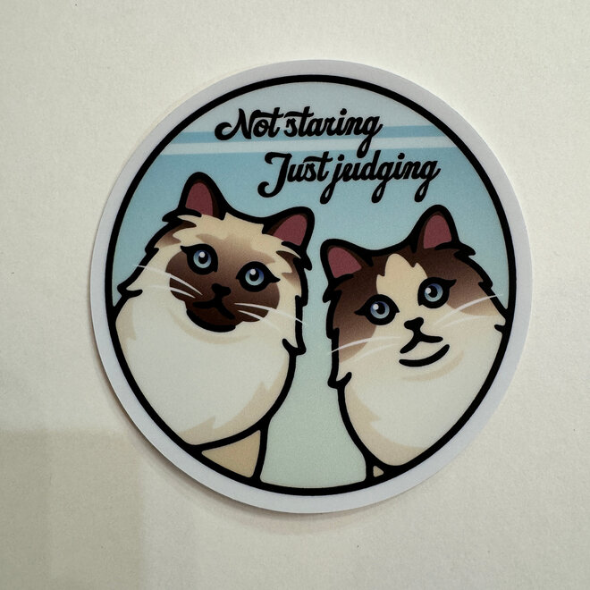 Not Staring Just Judging Cats - Vinyl Sticker