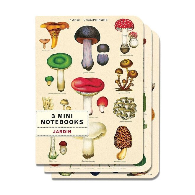 Notebook Mini Jardin Set Of 3