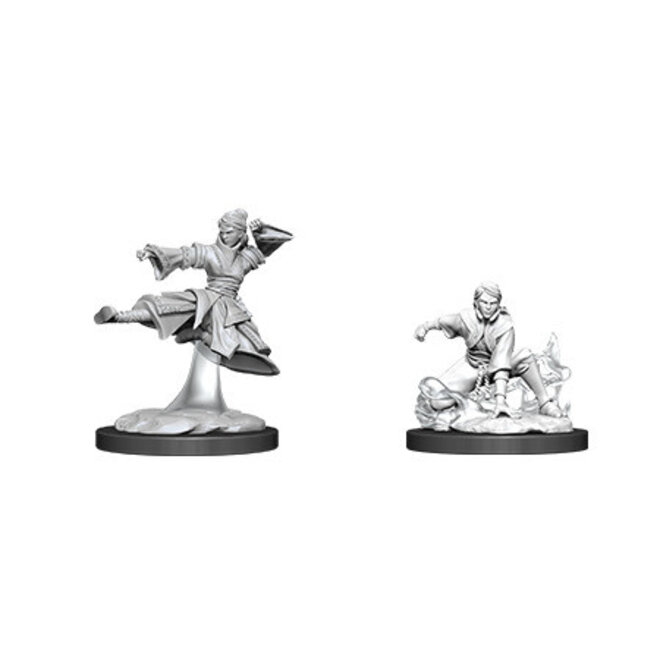 D&D Nolzur's Marvelous Miniatures: Human Monk  Female