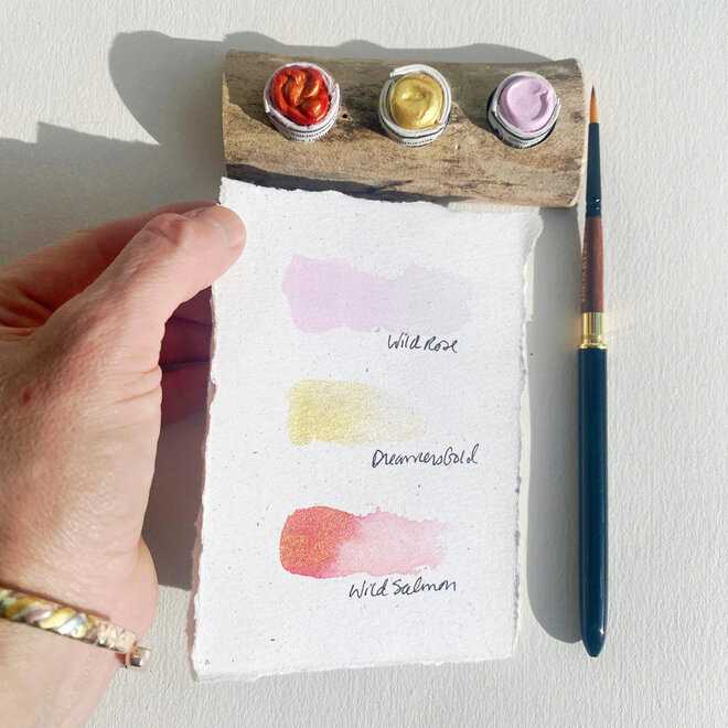 Beam Paints: Sugar Maple Gift Set - Wild Salmon/Dreamers Gold/Wild Rose